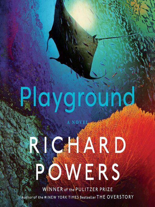 Cover of Playground